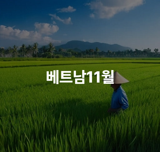 베트남11월 날씨와 여행 | 베트남 11월 여행지 추천, 날씨와 관광지 정보