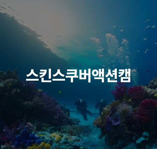 스킨스쿠버액션캠  심해수중 촬영 팁 보급품 추천