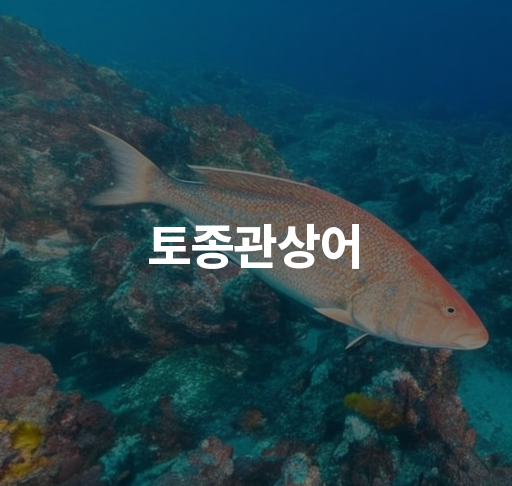 토종관상어  용수철 서식지와 번식 특성 보호 정책