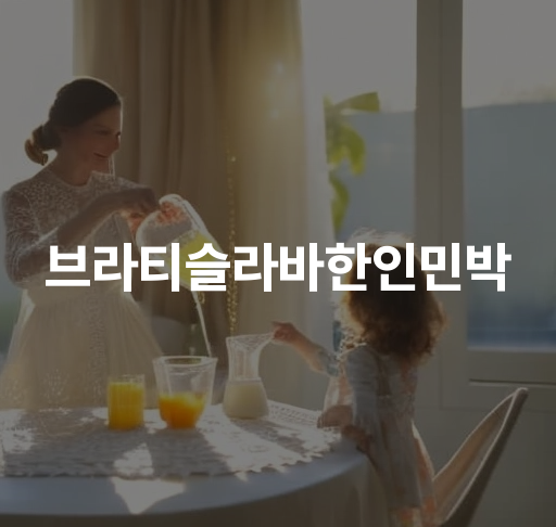 브라티슬라바한인민박  편안한 숙박과 편리한 교통편 제공 주변 관광지 소개