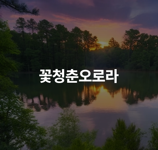 꽃청춘오로라  꽃청춘 여행 오로라 관측 포인트 로맨틱 여행 추천