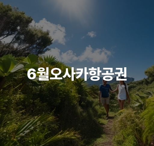 6월 오사카항공권 예약가능한 최저가 비교  대한민국 출발 특가 항공편 검색