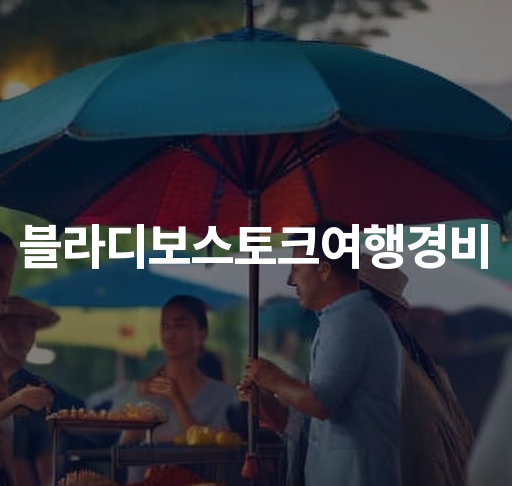 블라디보스토크여행경비  예산 관리 팁 경비 비교 방법