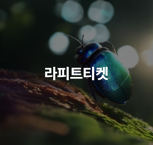 라피트티켓  라피트티켓 구매방법과 이용시간 알아보기