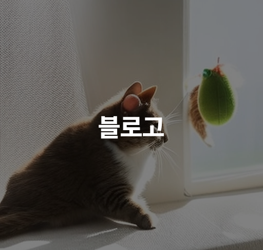 블로고  블로그 시작하는 법 블로그 키워드 최적화 방법