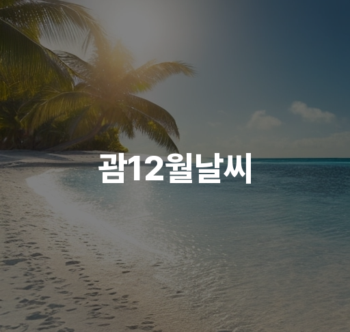 괌 12월 날씨  기후 조건과 온도 변화 강수량 예측