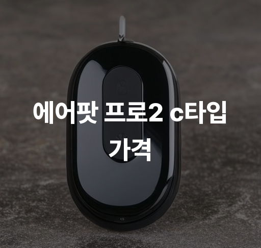 에어팟 프로2 c타입가격  에어팟 프로2 출시일 성능 비교 구매 시 고려 사항