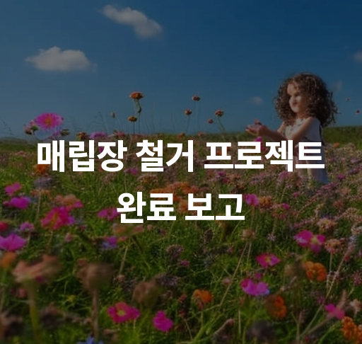 매립장 철거 프로젝트 완료 보고  성공적인 최종 점검 전략 및 비용 절감 사례