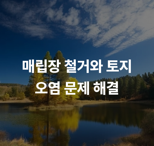 매립장 철거와 토지 오염 문제 해결  효과적인 정화 기술과 정책 안내 환경 복원을 위한 사례 분석