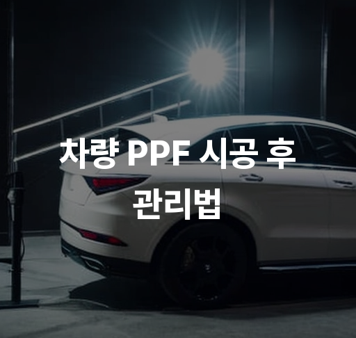 차량 PPF 시공 후 관리법  올바른 청소법과 자외선 차단 팁