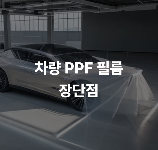 차량 PPF 필름 장단점  내차 보호 필름 효과 및 비용 비교