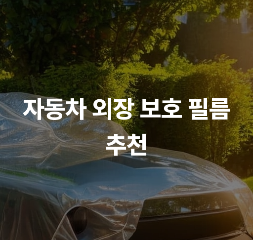 자동차 외장 보호 필름 추천  내구성과 효과적인 관리 팁