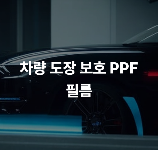 차량 도장 보호 PPF 필름  차량 스크래치 방지 꿀팁 필름 시공 효과 설명