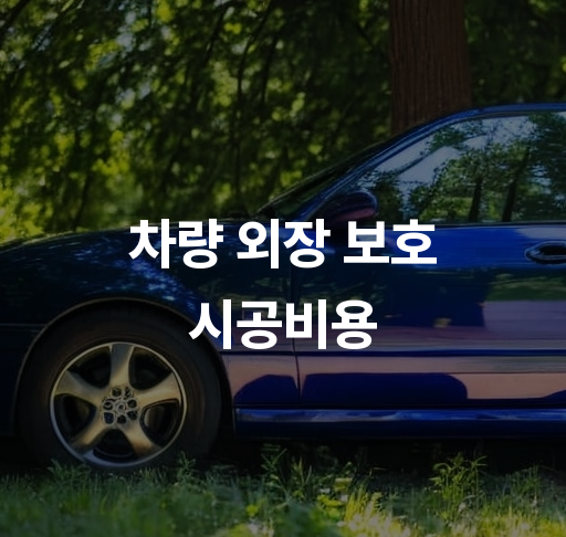 차량 외장 보호 시공비용  PPF 선택 가이드 비용 절약 팁