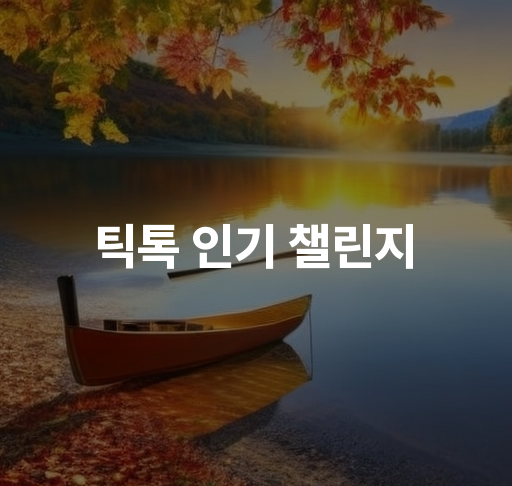 틱톡 인기 챌린지  최신 트렌드와 참여 방법 안내