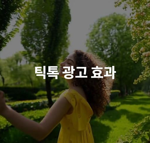 틱톡 광고 효과  성공적인 캠페인 전략과 분석 방법