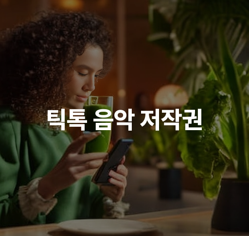 틱톡 음악 저작권  정확한 음원 사용법과 저작권 보호 방법