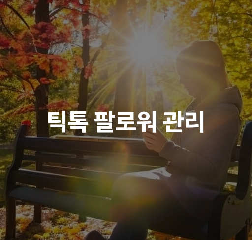 틱톡 팔로워 관리  효과적인 팔로워 증가 방법  소통 전략