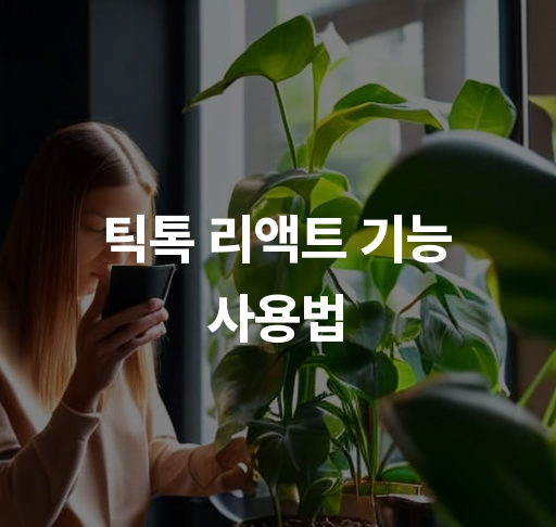 틱톡 리액트 기능 사용법  쉽고 간편한 틱톡 데이터 불러오기 방법 사용자 비디오 인터페이스 구현하기