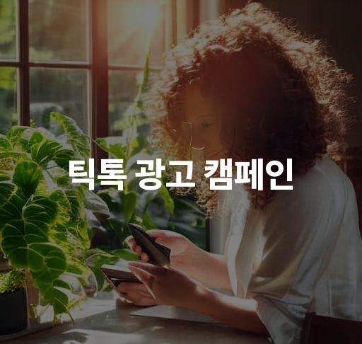 틱톡 광고 캠페인  효과적인 캠페인 전략 및 성공 팁