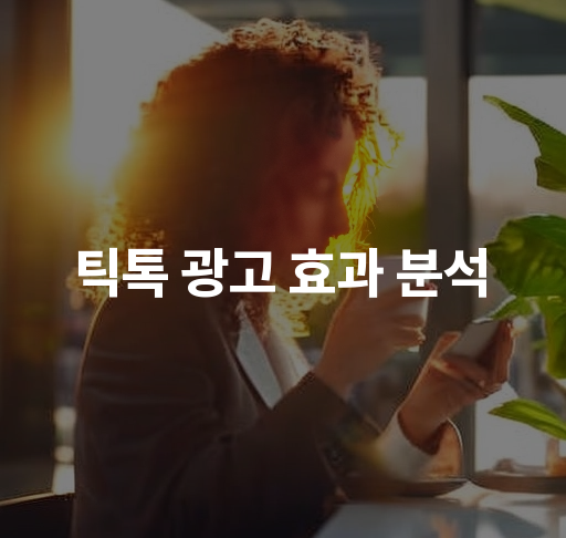 틱톡 광고 효과 분석  성공적인 캠페인 사례 및 성과 측정 방법