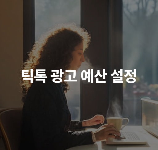 틱톡 광고 예산 설정  효과적인 광고 예산 계획 방법 캠페인 성과 분석 전략