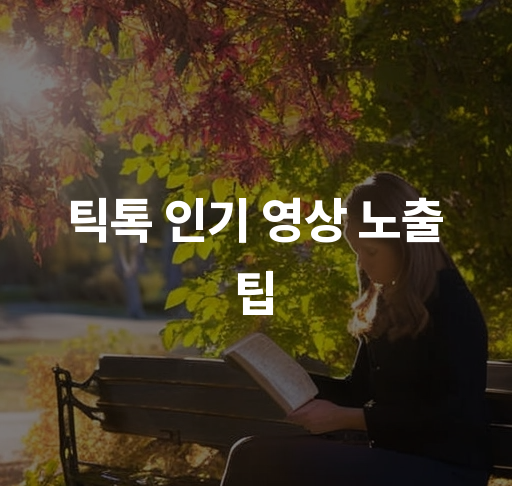 틱톡 인기 영상 노출 팁  알고리즘 최적화 전략 및 해시태그 선택법