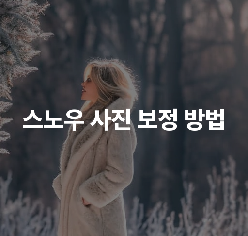 스노우 사진 보정 방법  초보자 가이드  효과적인 사용 팁