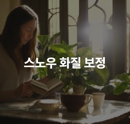 스노우 화질 보정  겨울 스포츠 영상 개선 방법 디지털 이미지 향상 기술