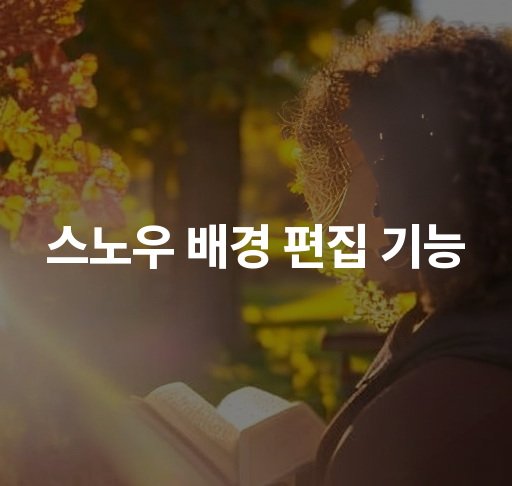 스노우 배경 편집 기능  사용자 친화적인 배경 편집 도구  쉽고 빠른 사진 합성 방법