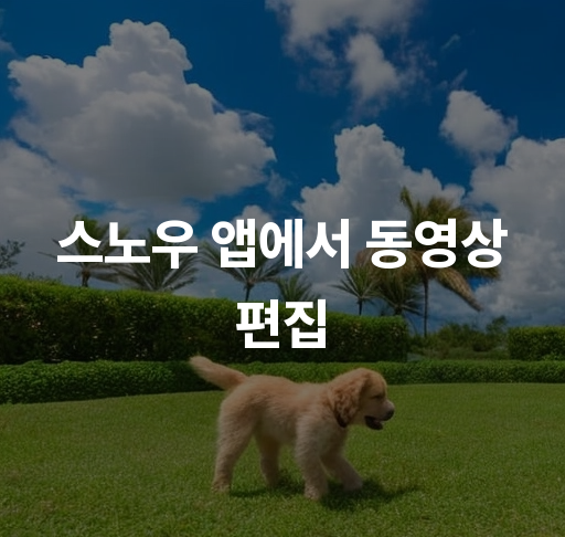 스노우 앱에서 동영상 편집  쉽고 빠른 편집 기법 다양한 효과 활용법