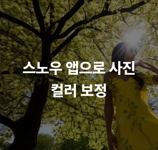 스노우 앱으로 사진 컬러 보정  초간단 보정 방법과 필터 팁 제공