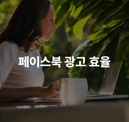 페이스북 광고 효율  성과 분석 및 최적화 전략